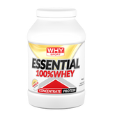 WHYSPORT – ESSENTIAL WHEY 900 g